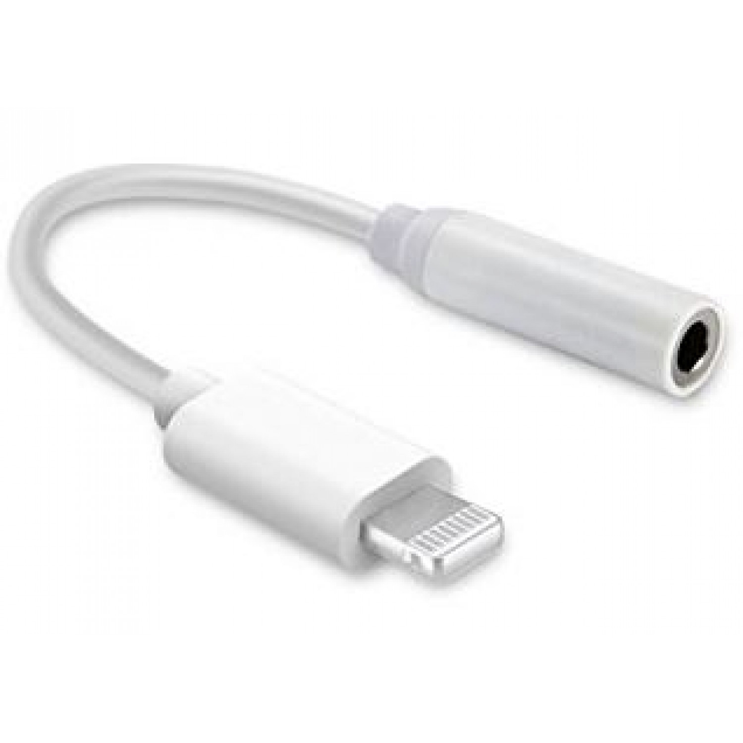 Apple aux store adapter